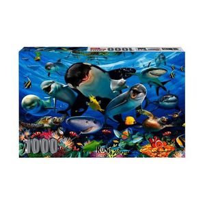 Rgs Group Puzzles Assorted 1000 Pieces