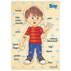 Rgs Group Body Parts Puzzle-Boy