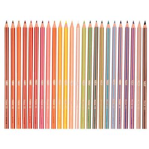 Bic Evolution Colouring Pencils