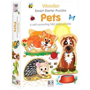 Rgs Group Smart Starter Puzzle