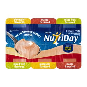 Danone Smooth Dairy Snack 100g (6s)