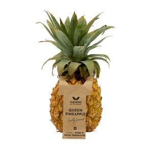 Single Queen Pineapple