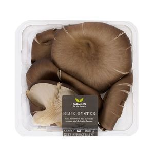 Blue Oyster Mushrooms 250 g