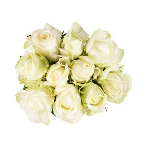 White Speciality Roses