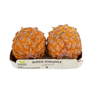Queen Pineapples 2 pk