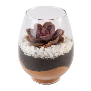 Succulents in Medium Glass Bowl