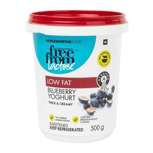 Ayrshire Low Fat Lactose Free Blueberry Yoghurt 500 g